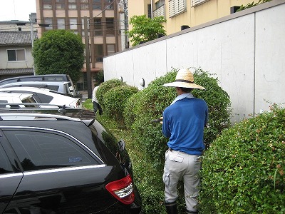 「当法人駐車場の植え込みを除草する被保護者と補導員」